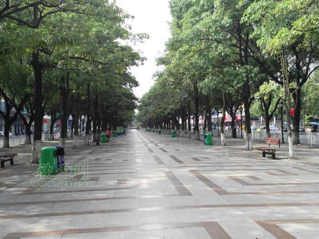 深圳玻璃鋼垃圾桶廠(chǎng)家 改善長(cháng)安鎮街區環(huán)境